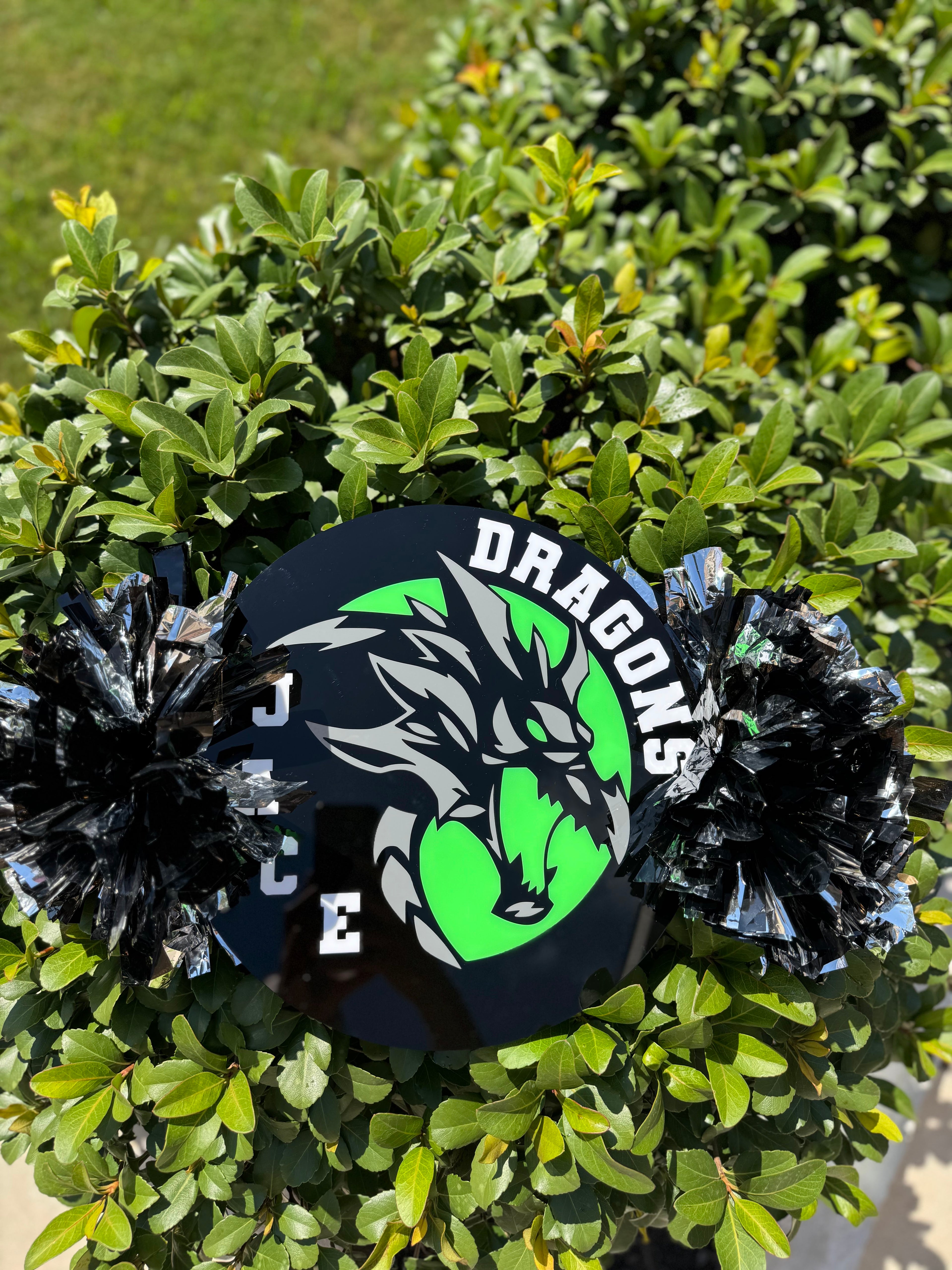 HORIZONTAL DRAGON SCHOOL MASCOT ACRYLIC CHEER STICK