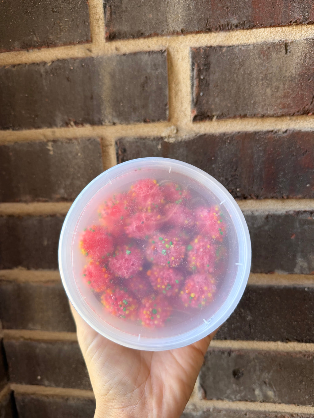 Freeze Dried Nerds 5oz coutanier